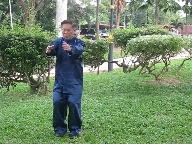 Wu Yu Xiang Style Taijiquan